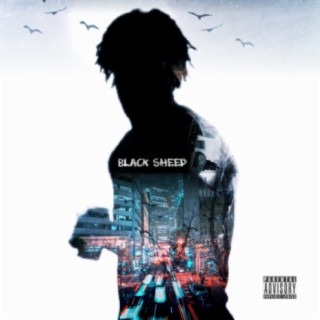 Black Sheep