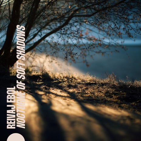 Nocturne of Soft Shadows cover art