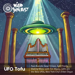 UFO Tofu cover art