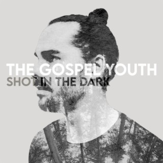 Shot In The Dark cover art