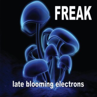Late Blooming Electrons