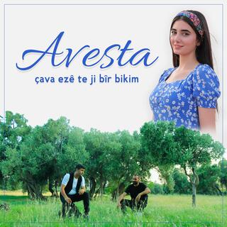 Avesta Çava ezê te ji bîr bikim cover art