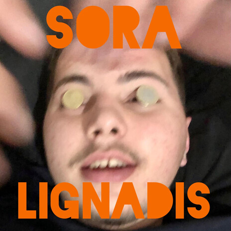 LIGNADISS cover art