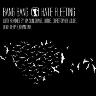 Hate Fleeting