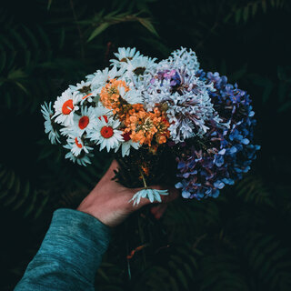 Nature's Grace