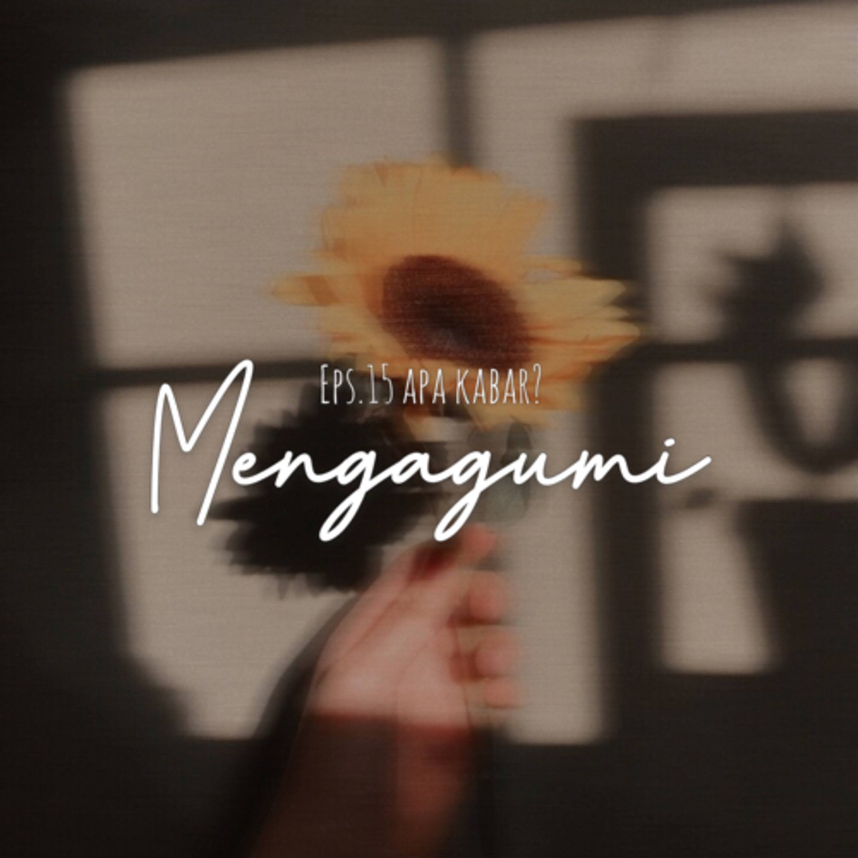 15. Mengagumi cover art