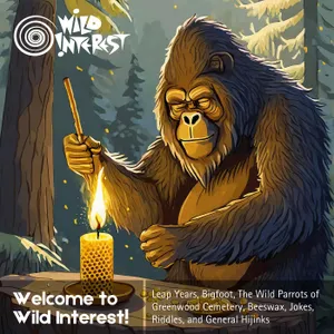 Welcome to Wild Interest! cover art