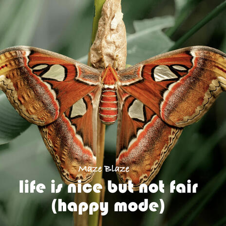 life is nice but not fair (happy mode) cover art