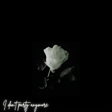 I don't party anymore (feat. Triver Sia, Brave London, YNG & J Kayo) cover art