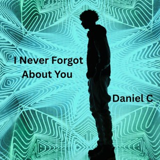 I Never Forgot About You ft. Daniel Carelse cover art