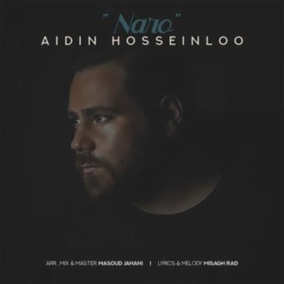 Aidin Hosseinloo