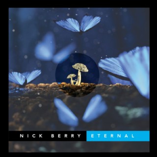 Nick Berry