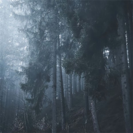 前面还有很长的路要走 cover art