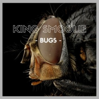 Bugs (Radio Edit) cover art