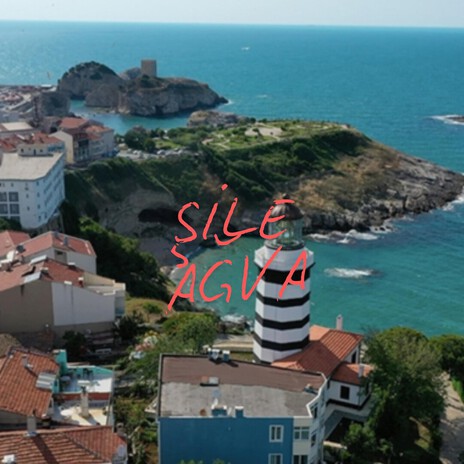 Şile Agva Saz Enstrumantal cover art