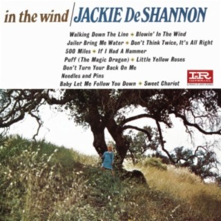 In The Wind