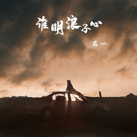 谁明浪子心 cover art