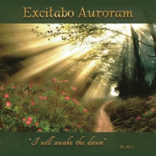 Excitabo Auroram