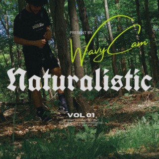 Naturalistic
