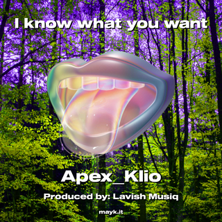 I know what you want cover art