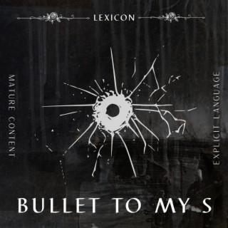 Bullet to my S