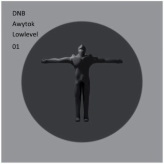 Awytok Lowlevel 01