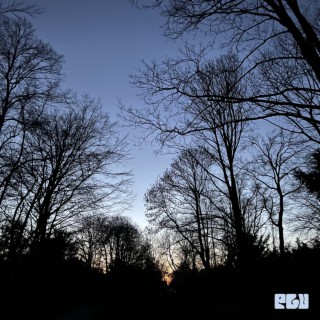 No Hard Feelings cover art