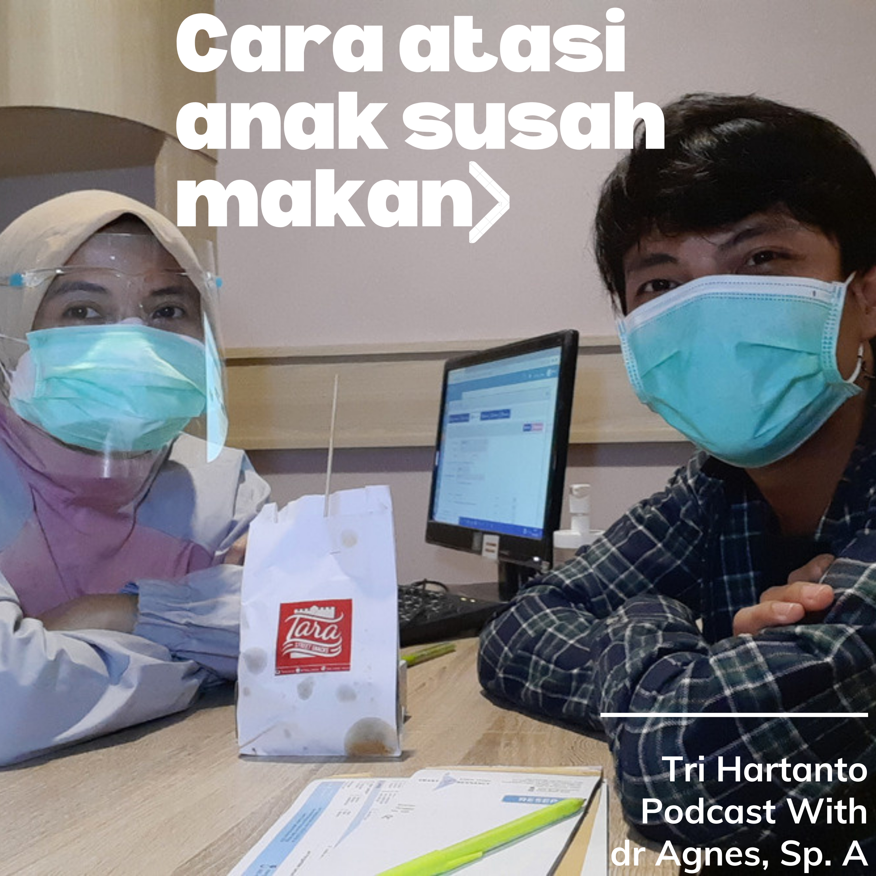 CARA MENGATASI ANAK SUSAH MAKAN cover art
