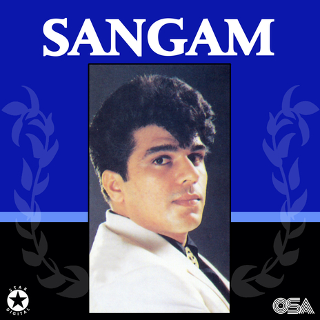 Dil Ho Gaya Hai Tera Deewana cover art