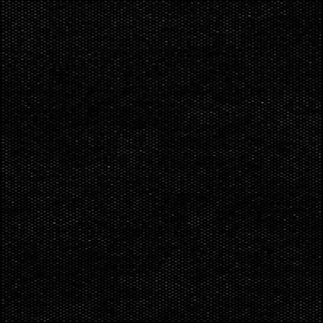 Rip cover art
