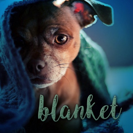 Blanket ft. Kiko King & Nico Kleihn cover art