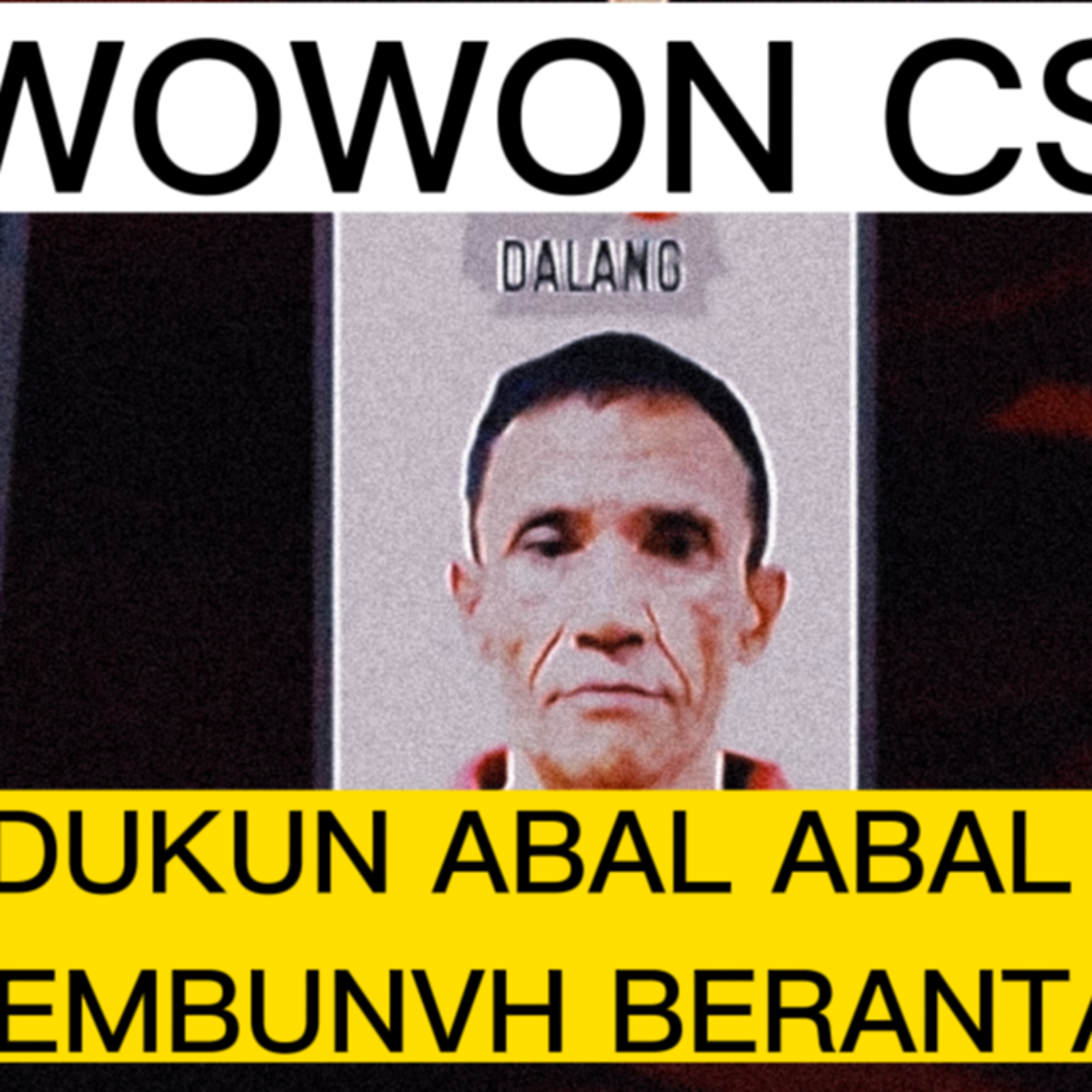 Wowon CS cover art