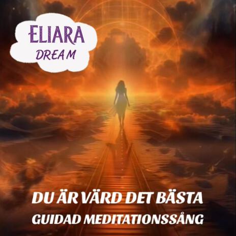 DU ÄR VÄRD DET BÄSTA - GUIDAD MEDITATION cover art