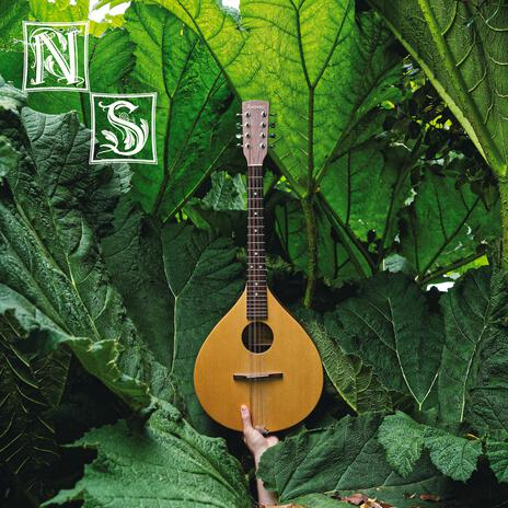 The Oyster cover art