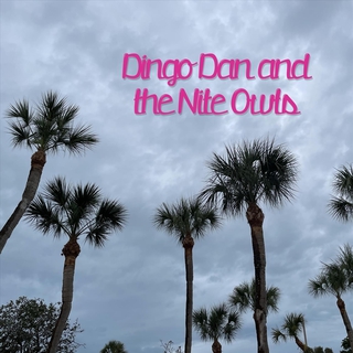 Dingo Dan and the Nite Owls