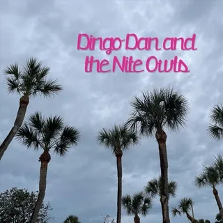 Dingo Dan and the Nite Owls cover art