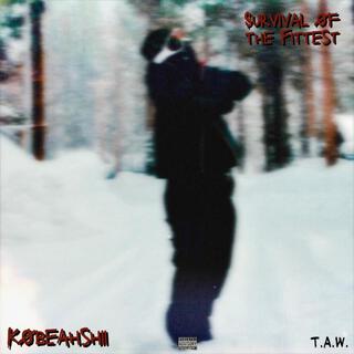 Survival of The Fittest (Remix) cover art