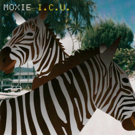 i Miss You So cover art