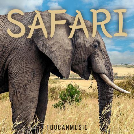 Safari