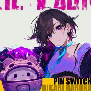 PIN SWITCH cover art