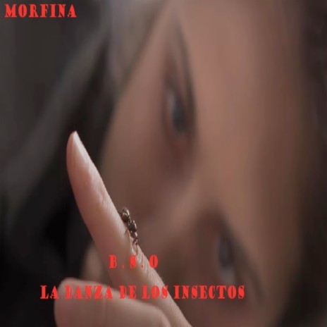 Morfina B.S.O. La danza de los insectos ft. feat Lucía Sanz cover art