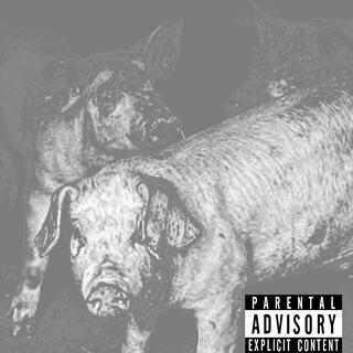 GLOBOX FREESTYLE (Tour Version) cover art