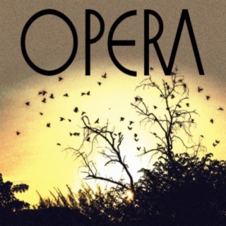 Opera
