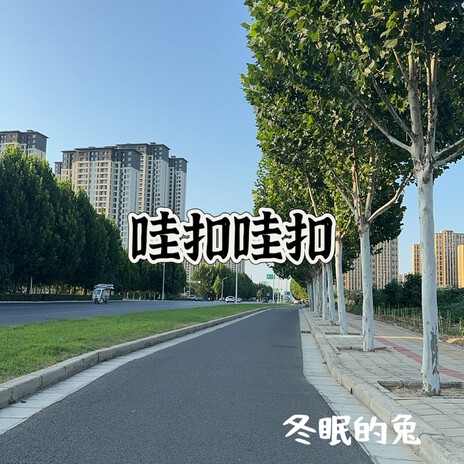 哇扣哇扣 (Dj版) cover art