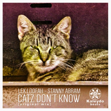 Catz Don't Know (Original Mix) ft. Stanny Abram cover art