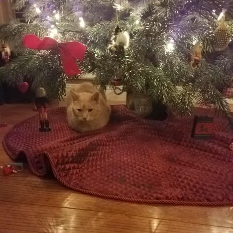 Alone for the Holidays cover art