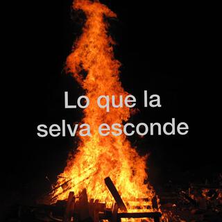 Lo que la selva esconde cover art