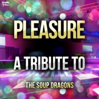 Pleasure cover art