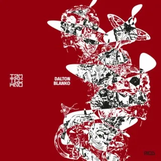 Blanko cover art