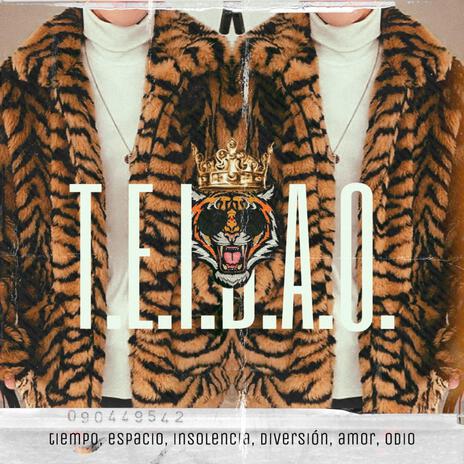 teidao